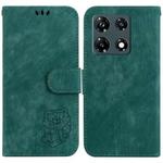 For Infinix Note 30 Pro Little Tiger Embossed Leather Phone Case(Green)