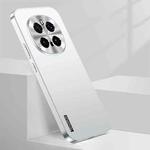 For Honor Magic7 Pro Streamer Series Micro Frosted Metal Paint PC Phone Case(Silver)