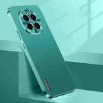 For Honor Magic7 Streamer Series Micro Frosted Metal Paint PC Phone Case(Alpine Green)