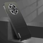 For Huawei Mate 40 Pro Streamer Series Micro Frosted Metal Paint PC Phone Case(Black)