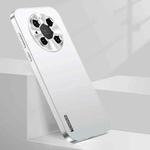 For Huawei Mate 40 Pro Streamer Series Micro Frosted Metal Paint PC Phone Case(Silver)