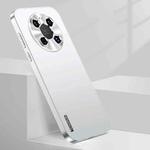 For Huawei Mate 40 Streamer Series Micro Frosted Metal Paint PC Phone Case(Silver)