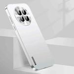 For Huawei Mate 50 Streamer Series Micro Frosted Metal Paint PC Phone Case(Silver)