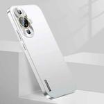 For Huawei nova 11 Streamer Series Micro Frosted Metal Paint PC Phone Case(Silver)