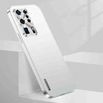 For Huawei P40 Pro+ Streamer Series Micro Frosted Metal Paint PC Phone Case(Silver)