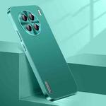 For vivo X90 Pro+ Streamer Series Micro Frosted Metal Paint PC Phone Case(Alpine Green)