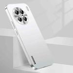 For vivo X90 Pro+ Streamer Series Micro Frosted Metal Paint PC Phone Case(Silver)