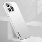 For iPhone 13 Pro Streamer Series Micro Frosted Metal Paint PC Phone Case(Silver)