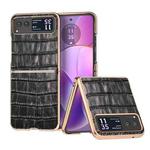 For Motorola Razr 40 Crocodile Texture Genuine Leather Electroplating Phone Case(Black)