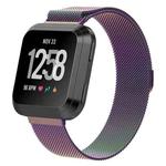 For Fitbit Versa 2 / Fitbit Versa / Fitbit Versa Lite Milanese Watch Band,, Large Size: 2.3x25.8cm(Colorful)
