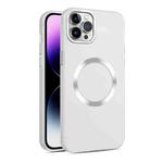 For iPhone 12 Pro Max CD Texture MagSafe Frosted Translucent Phone Case(White)