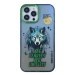 For iPhone 14 Pro Max Aurora Series Painted Pattern Phone Case(Wolf)
