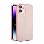 For iPhone 12 Eagle Eye CD Texture Lens Skin Feel Matte Phone Case(Pink)