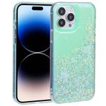 For iPhone 15 Pro DFANS DESIGN Snowflake Starlight Shining Phone Case(Green)