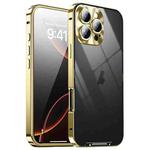 For iPhone 16 Pro Frosted Metal Phone Case(Gold)