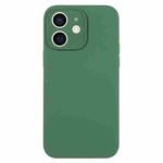For iPhone 12 Pure Color Liquid Silicone Fine Pore Phone Case(Clover Green)