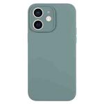 For iPhone 12 Pure Color Liquid Silicone Fine Pore Phone Case(Pine Needle Green)