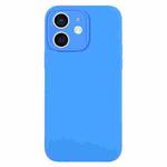 For iPhone 12 Pure Color Liquid Silicone Fine Pore Phone Case(Lake Blue)