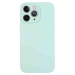 For iPhone 11 Pro Max Pure Color Liquid Silicone Fine Pore Phone Case(Turquoise)