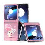 For Motorola Razr 40 Ultra ABEEL PC Paintings Pattern Phone Case(Rabbit)