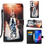 For Motorola Moto G Play 4G 2024 Colored Drawing Pattern Plain Weave Leather Phone Case(Cats And Tigers)