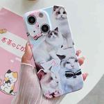 For iPhone 15 Plus PC Phone Case(White Cat)