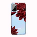 For Samsung Galaxy S20+ Shockproof Painted TPU Protective Case(Safflower)