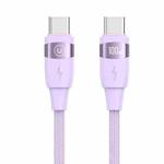 USAMS US-SJ633 U85 2m Type-C to Type-C PD100W Aluminum Alloy Fast Charging & Data Cable(Purple)