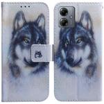 For Motorola Moto G14 Coloured Drawing Flip Leather Phone Case(White Wolf)