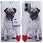 For Motorola Moto G14 Coloured Drawing Flip Leather Phone Case(Pug)