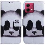 For Motorola Moto G84 Coloured Drawing Flip Leather Phone Case(Panda)