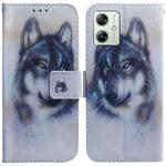 For Motorola Moto G54 Coloured Drawing Flip Leather Phone Case(White Wolf)