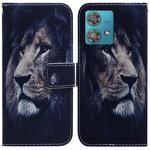 For Motorola Edge 40 Neo Coloured Drawing Flip Leather Phone Case(Lion)