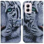 For Motorola Moto G Power 5G 2024 Coloured Drawing Flip Leather Phone Case(Tiger)