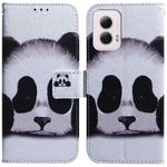 For Motorola Moto G Power 5G 2024 Coloured Drawing Flip Leather Phone Case(Panda)