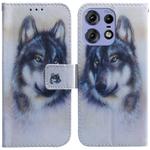 For Motorola Edge 50 Pro Coloured Drawing Flip Leather Phone Case(White Wolf)