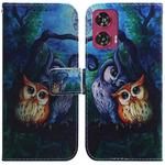 For Motorola Edge 50 Fusion Coloured Drawing Flip Leather Phone Case(Oil Painting Owl)