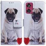 For Motorola Edge 50 Fusion Coloured Drawing Flip Leather Phone Case(Pug)