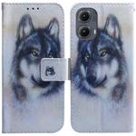 For Motorola Edge 2024 Coloured Drawing Flip Leather Phone Case(White Wolf)