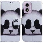 For Motorola Moto G04s / Moto E14 Coloured Drawing Flip Leather Phone Case(Panda)