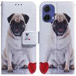 For Motorola Moto G85 Coloured Drawing Flip Leather Phone Case(Pug)