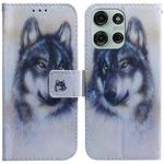 For Motorola Moto G75 5G Coloured Drawing Flip Leather Phone Case(White Wolf)