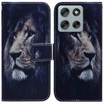 For Motorola Moto G56 5G / G66j 5G / G66y 5G Coloured Drawing Flip Leather Phone Case(Lion)