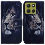 For Motorola Moto G86 5G Coloured Drawing Flip Leather Phone Case(Lion)