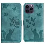 For iPhone 15 Pro Butterfly Cat Embossing Flip Leather Phone Case(Wathet)