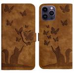 For iPhone 14 Pro Max Butterfly Cat Embossing Flip Leather Phone Case(Brown)