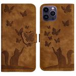 For iPhone 13 Pro Max Butterfly Cat Embossing Flip Leather Phone Case(Brown)