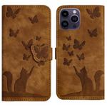 For iPhone 12 Pro Max Butterfly Cat Embossing Flip Leather Phone Case(Brown)