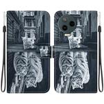 For Infinix Note 12 Pro 4G Crystal Texture Colored Drawing Leather Phone Case(Cat Tiger Reflection)