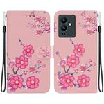 For Infinix Note 12 Pro 5G Crystal Texture Colored Drawing Leather Phone Case(Cherry Blossoms)